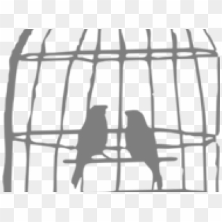 Birdcage Clipart Grey - Birds In Cage Drawing, HD Png Download