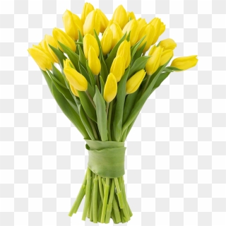 Yellow Tulips, HD Png Download
