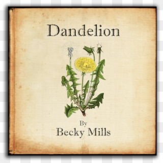 Becky Mills 'dandelion' - Dandelion Botanical Illustration, HD Png Download