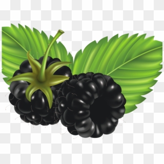 Berries Clipart Berry Bush - Clip Art, HD Png Download