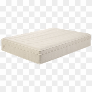 Transparent Png
