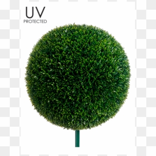 19 Uv Protected Tea Leaf Ball With 10 Metal Pole Green - Hedge, HD Png Download