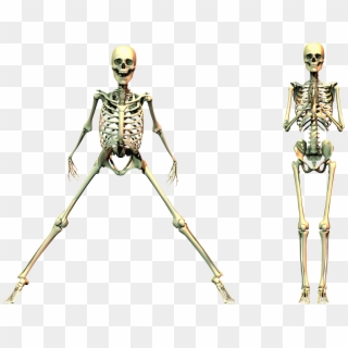 Skeleton Worshiping By Markopolio - Spooky Skeleton Png, Transparent Png