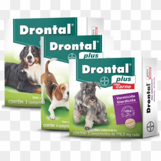 Drontal® Plus Carne - Remedio De Verme Para Cachorro, HD Png Download