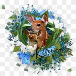 Oh Baby Deer Tag - Sorrel, HD Png Download