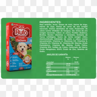 Rufo Cachorro - Companion Dog, HD Png Download