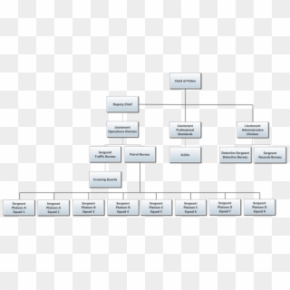 Organizational Chart - Organizational Chart For A Police Department, HD Png Download