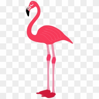 Roblox Flamingo Decal