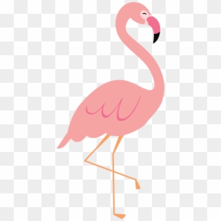 Flamingo Clip File - Flamingo 2, HD Png Download