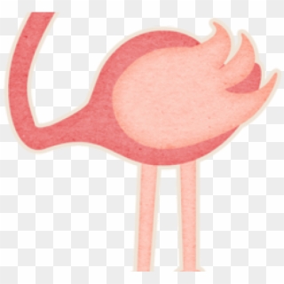 Flamingo Clipart Zoo - Greater Flamingo, HD Png Download