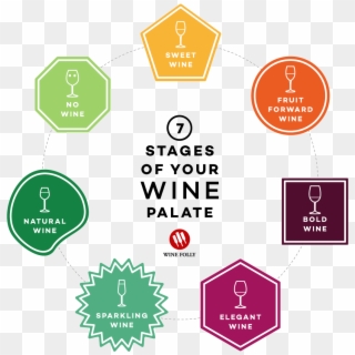 The 7 Stages Of Your Wine Palate By Wine Folly - Wine Palate, HD Png Download
