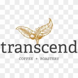 Transcend Staff Prospects - Transcend Coffee Logo, HD Png Download
