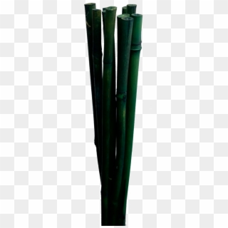 Bamboo Stick Png - Vase, Transparent Png
