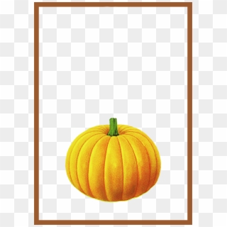 Calabaza Brown Simple Frame Texture Transprent Free - Pumpkin, HD Png Download