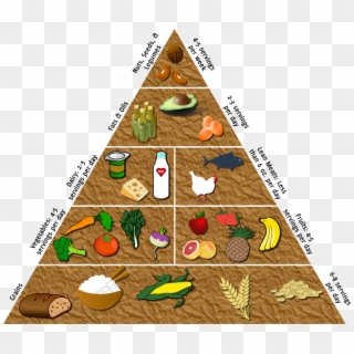 Hold An Event Where You Build The Food Pyramid With - Transparent Food Pyramid Png, Png Download