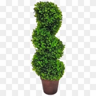 Topiary Tree Spiral - Grass, HD Png Download
