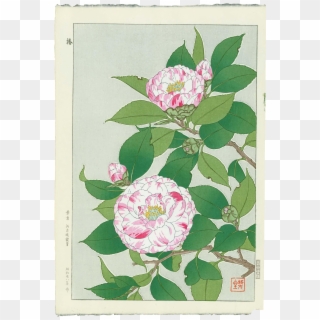 Banner Freeuse Download Shodo Kawarazaki Camellias - Painting, HD Png Download