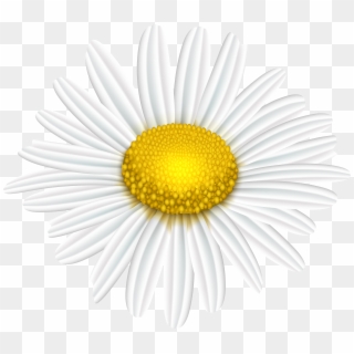 Daisy Flower Transparent Image - Sunflower Kansas State Flag, HD Png Download