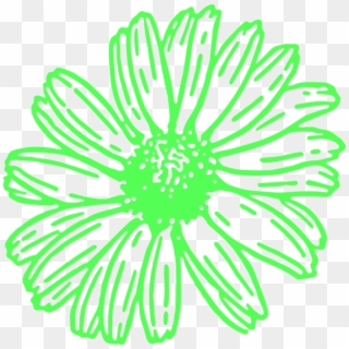 Daisy, Flower, Png - Flower, Transparent Png