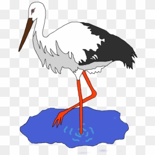 This Free Icons Png Design Of Stork In A Pond - Stork Clipart, Transparent Png