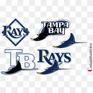 Tampa Bay Rays Logos - Tampa Bay Ray Transparent, HD Png Download