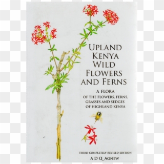 Upland Kenya Wild Flowers - Rosa Glauca, HD Png Download