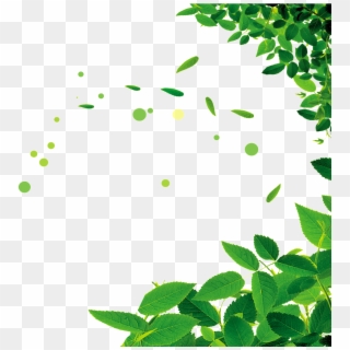 Beautiful Green Leaf Png, Transparent Png
