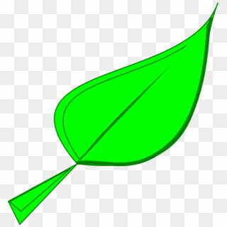 Green Leaf Png, Transparent Png