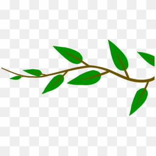 Tree Leaves Png, Transparent Png