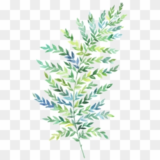 Hand Painted Green Leaf Png, Transparent Png