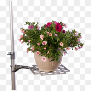 Adjustable Platform Shelf With Flower Arrangement - Flowers Stand Png Hd, Transparent Png