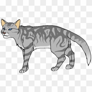 Blue Grey Cat - Light Grey Cat With Dark Grey Stripes, HD Png Download