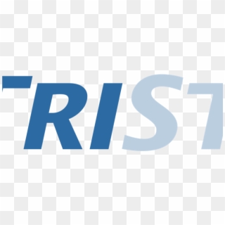 Tristar Banner Logo , Png Download, Transparent Png