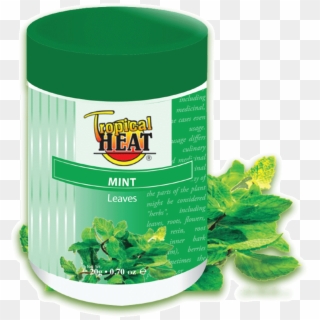 Mint Leaf Png - Tropical Heat, Transparent Png