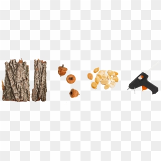 1 Piece Of Bark From A Tree Of Your Choice - Tree Bark Pieces Png, Transparent Png