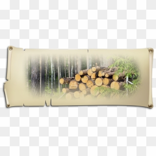 Wood Bullet Hole Png - Lumber, Transparent Png