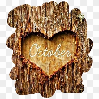 #tree #bark #heart #october #autumn #fall #freetoedit - Love October, HD Png Download