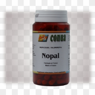 Buy Nopal - Usos Medicinales Del Nopal, HD Png Download