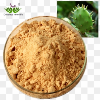 Natural Nopal Cactus Juice Powder Prickly Pears Extract - Graham Cracker Crust, HD Png Download