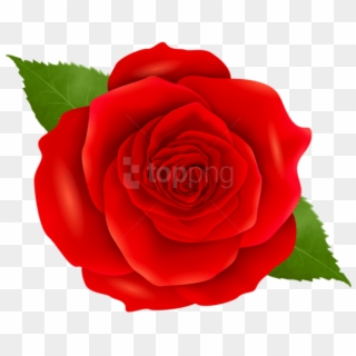 Download Red Rose Transparent Png Images Background - Transparent Background Blue Flower Clipart, Png Download
