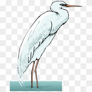 Png Transparent Library Free Heron - Cattle Egret, Png Download