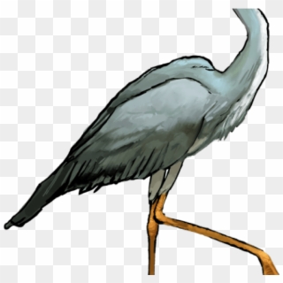 Heron Clipart Crane Bird - Great Blue Heron Transparent Background, HD Png Download