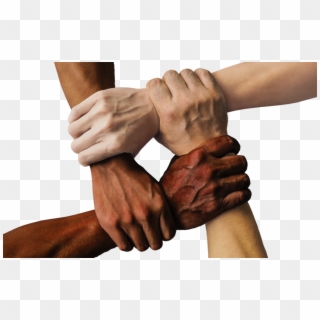 Black And Whites Holding Hands, HD Png Download