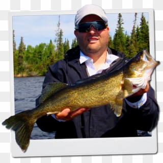 Walleye Tips, Baits & Lures - Pull Fish Out Of Water, HD Png Download
