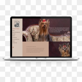 Website Design & Development For Topknot Yorkies - Yorkshire Terrier, HD Png Download