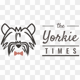 The Yorkie Times, HD Png Download