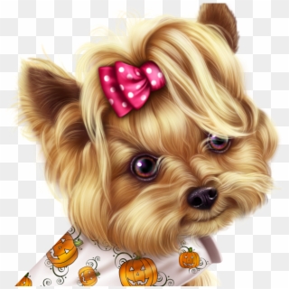 Little Pumpkin Yorkie - Yorkshire Terrier, HD Png Download
