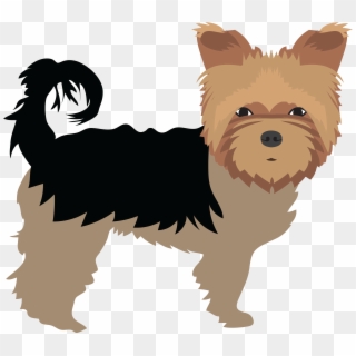 Yorkie - Yorkshire Terrier, HD Png Download