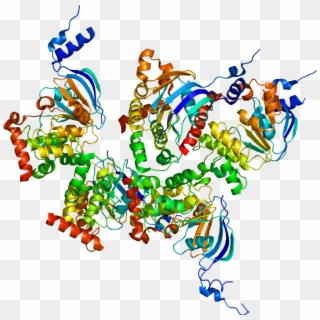 Protein Cftr Pdb 1xmi - Cystic Fibrosis Protein, HD Png Download