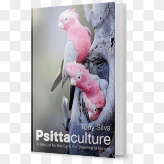 Psittaculture - - Psittaculture Tony Silva 2018, HD Png Download